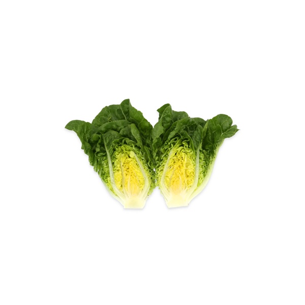 RAWLEY RZ (41-372) product photo view-2 L