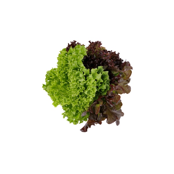 Salatriomix 1 (3x25tpc) product photo front L