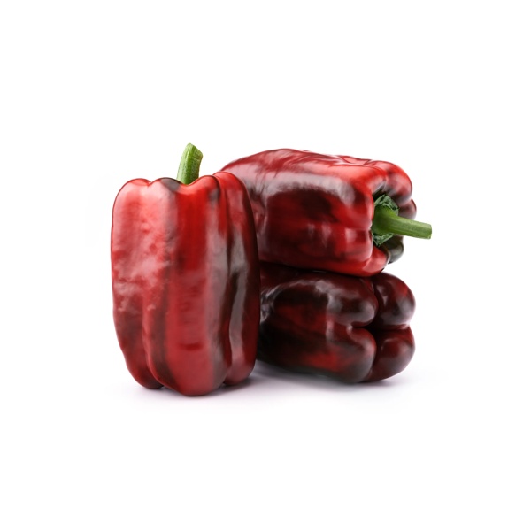 ESCOTA RZ product photo view-3 L