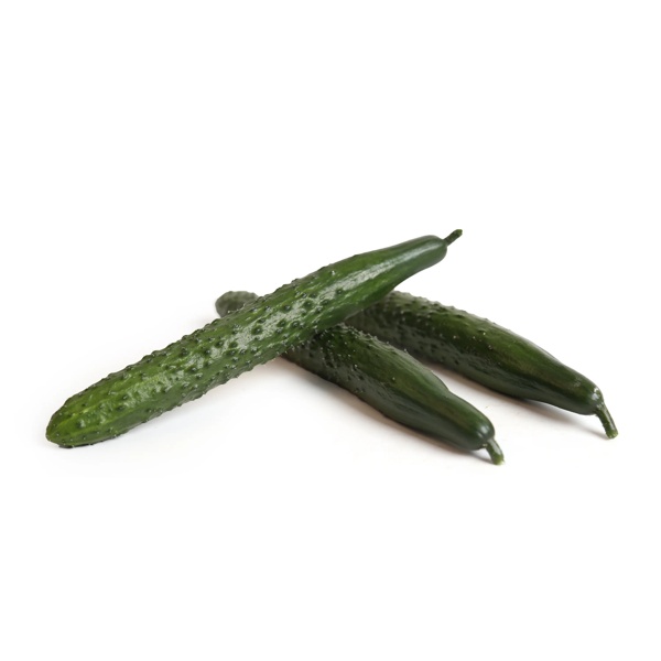 玛香蒂(24-921)Marshyangdi product photo view-2 L