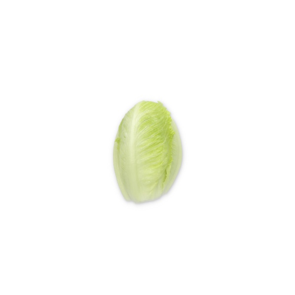 SUMMERITA RZ (41-CR2433) product photo view-2 L