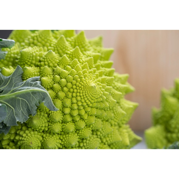 PUNTOVERDE RZ product photo view-4 L