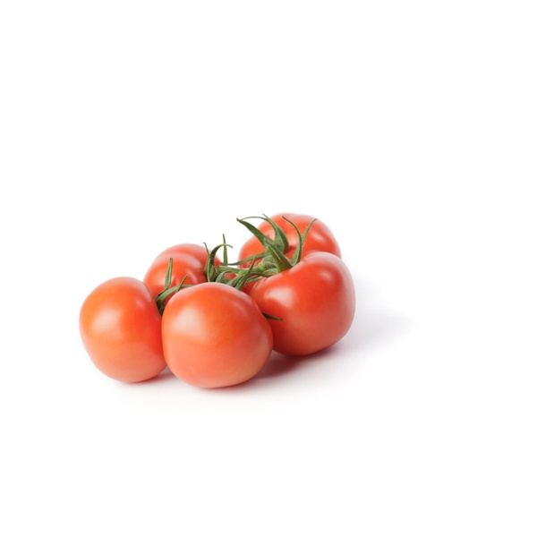 SIRANZO RZ F1 (72-754) product photo front L