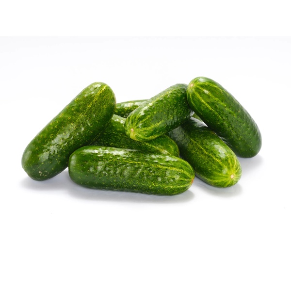RUBINSTEIN RZ F1 (12-114) product photo view-4 L