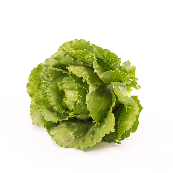 VERODITA RZ (41-115) product photo front L