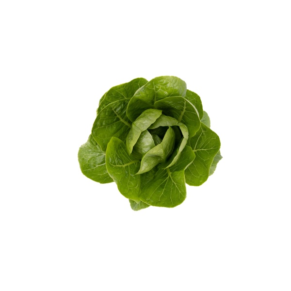 RABELLO RZ product photo view-2 L