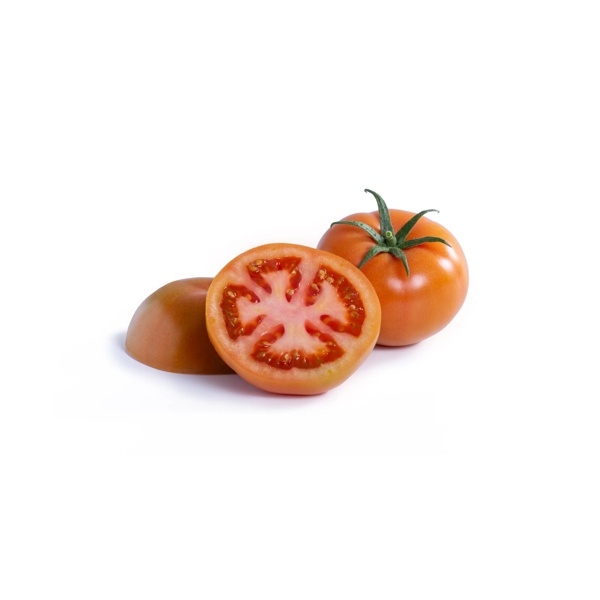 ERRASTY RZ product photo view-2 L