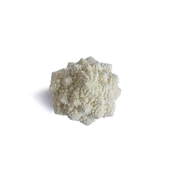 WHITAKER RZ product photo front L