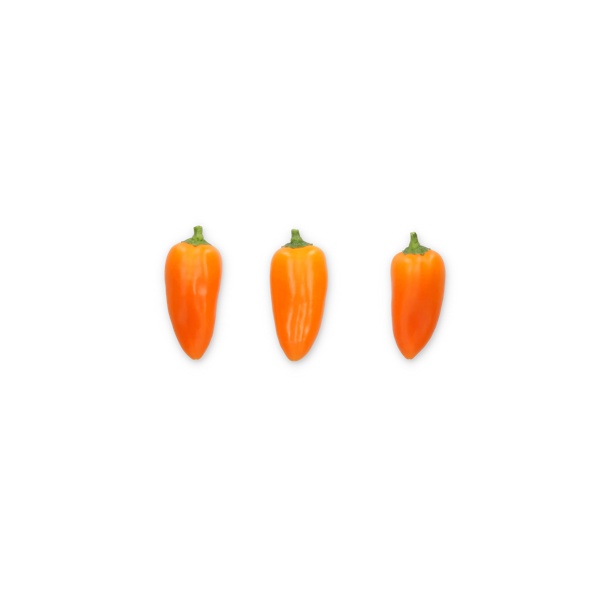 ORANGE CRUSH F1 (35-MO1606) product photo view-2 L