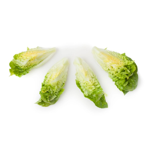 TUDELA RZ product photo view-2 L
