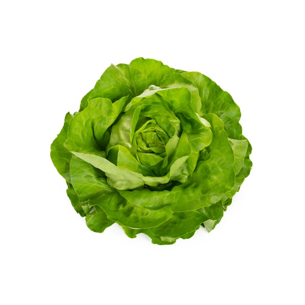 ELICIO RZ (43-BU7206) product photo front L