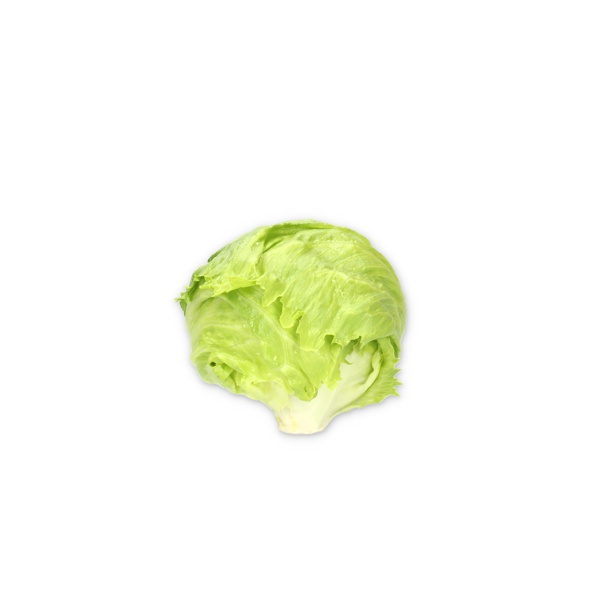 LAURINAS RZ product photo view-2 L