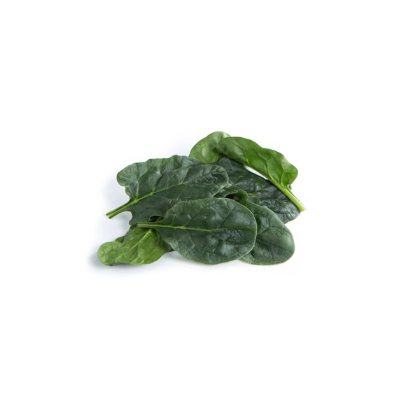 OCELOT RZ product photo view-2 L