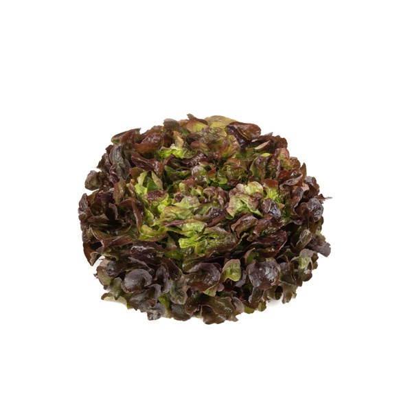 BALAKAI (83-OA5181) Produktbild front L