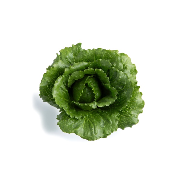 GABITA RZ product photo view-4 L