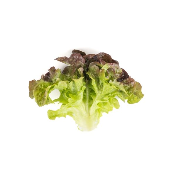 BALAKAI RZ (83-OA5181) product photo view-4 L