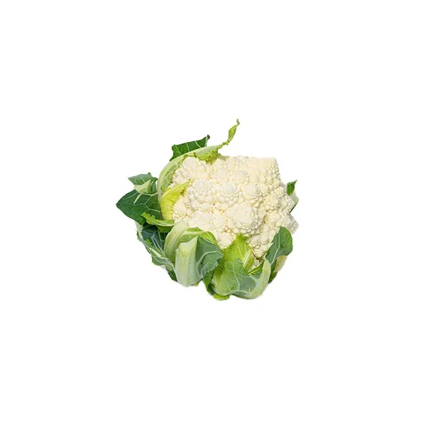 PONTBLANC RZ product photo front L