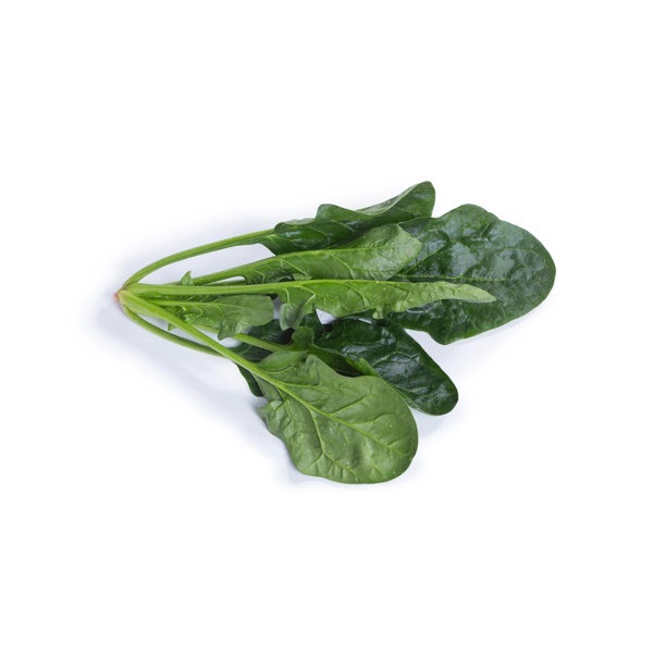 SILVERSIDE RZ F1 (51-OR206) product photo view-2 L