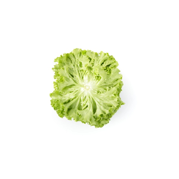 OLMETIE RZ product photo view-3 L