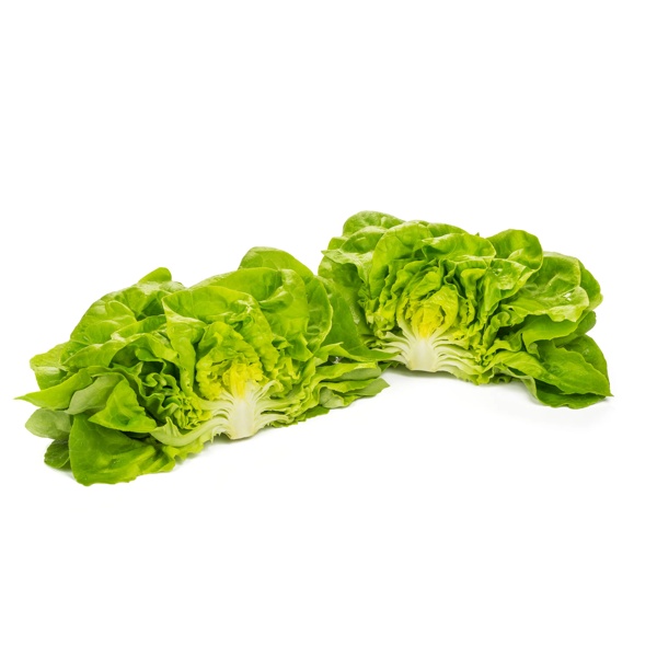 WALHA RZ product photo view-2 L