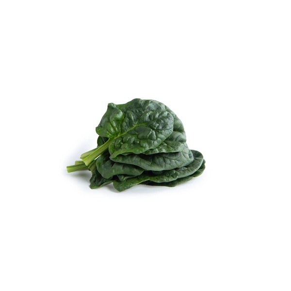 BOOMSLANG RZ F1 product photo view-3 L