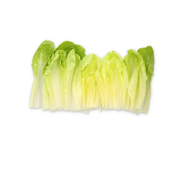 ZARATE RZ (41-CO1734) Knox™ product photo front L