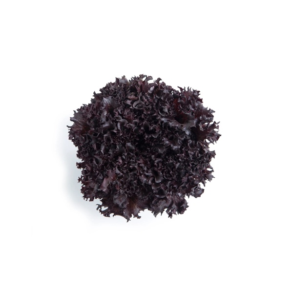 NANEDI RZ product photo front L