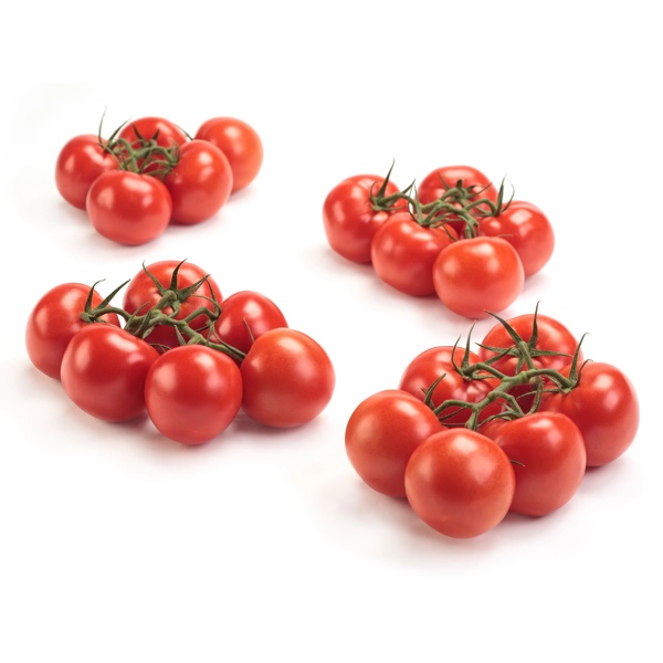 TOMICIA RZ F1 product photo view-2 L