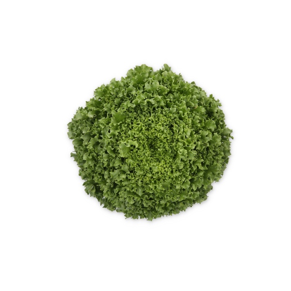 HYDROLIQUE RZ product photo front L
