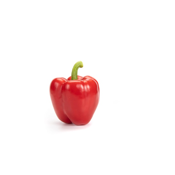 비날레스 VINALES RZ F1 product photo view-3 L