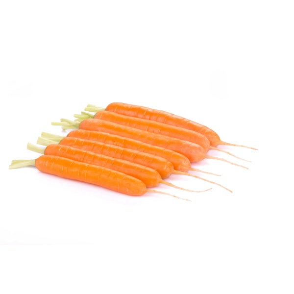 CROFTON RZ F1  product photo view-4 L
