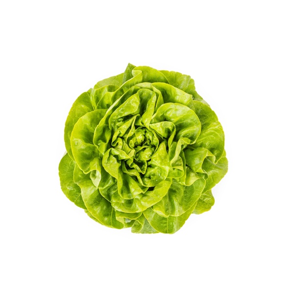 GALLOWAY RZ product photo front L