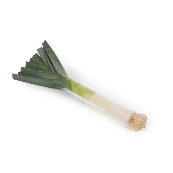 MAMMATUS F1 (38-EM7086) Produktbild view-2 L