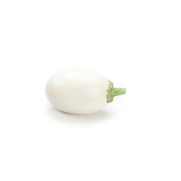 BLANCHETTE RZ F1 (10-951) product photo view-3 L