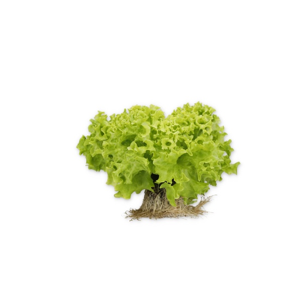 86-LE2027 RZ  product photo view-2 L