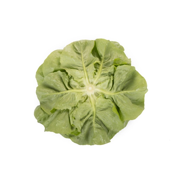 GAMBETTA RZ product photo view-4 L