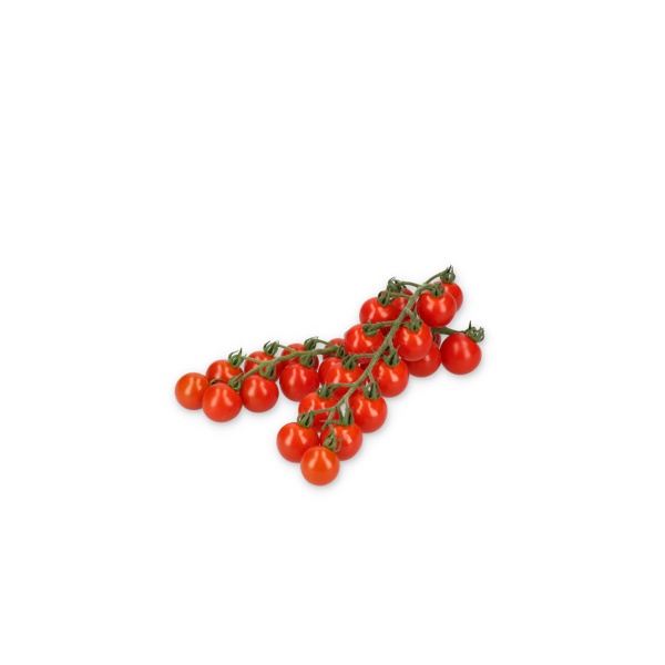 72-CH0363 Proventura product photo view-2 L
