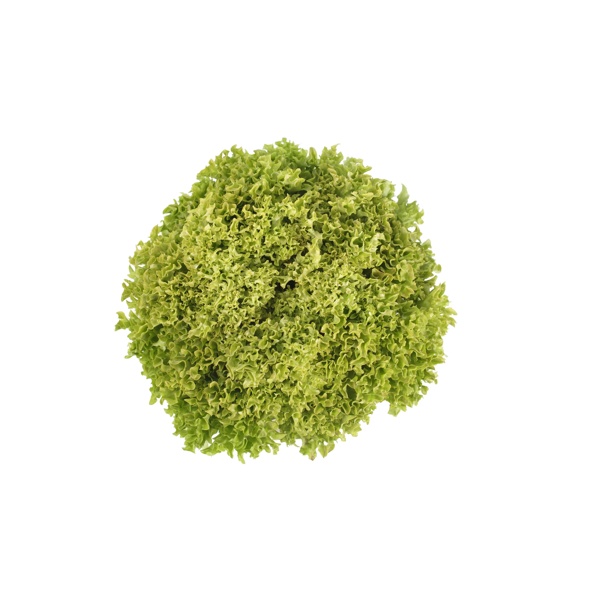 VICINITY RZ (79-82) product photo front L