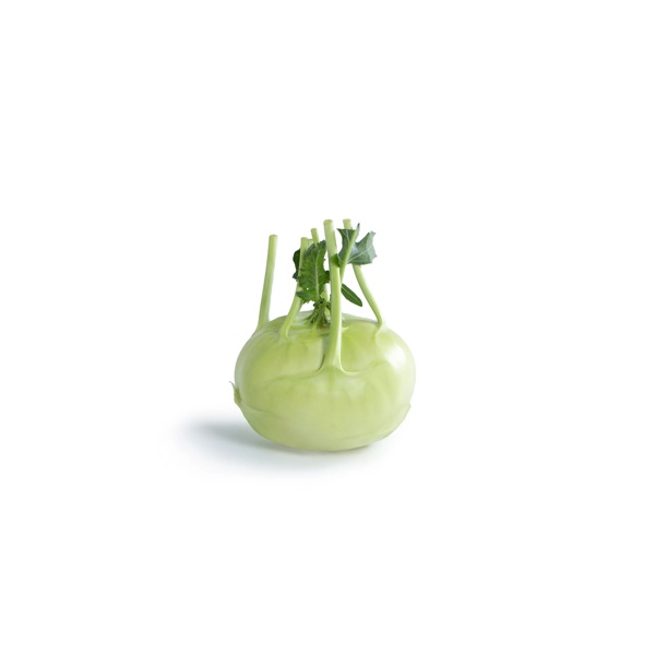 CAVADO RZ F1  product photo view-3 L