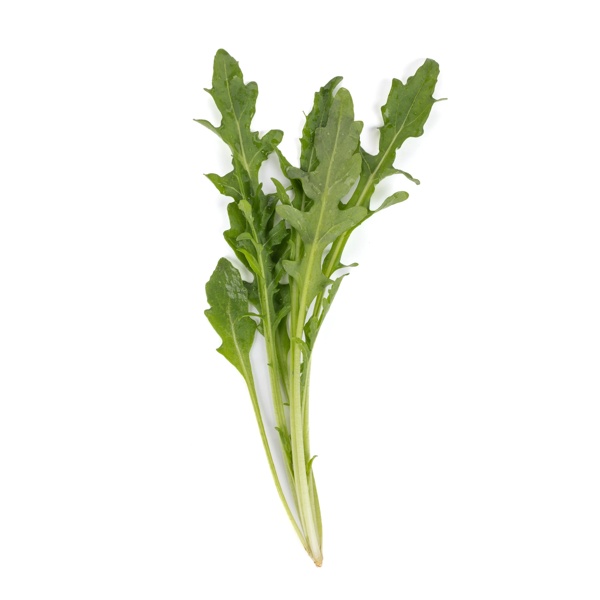 DIOMEDES (89-WR015) product photo view-4 L