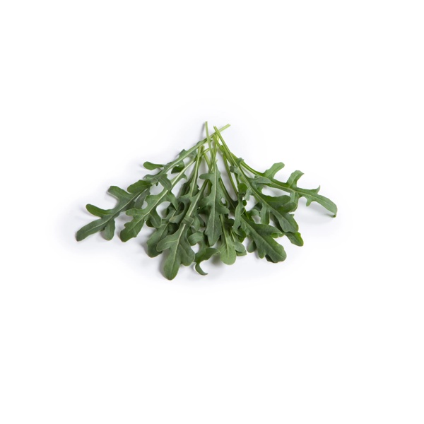 NEREID RZ product photo view-2 L