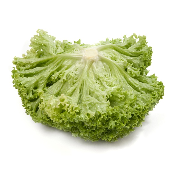 ALEPPO (85-11) Produktbild view-3 L