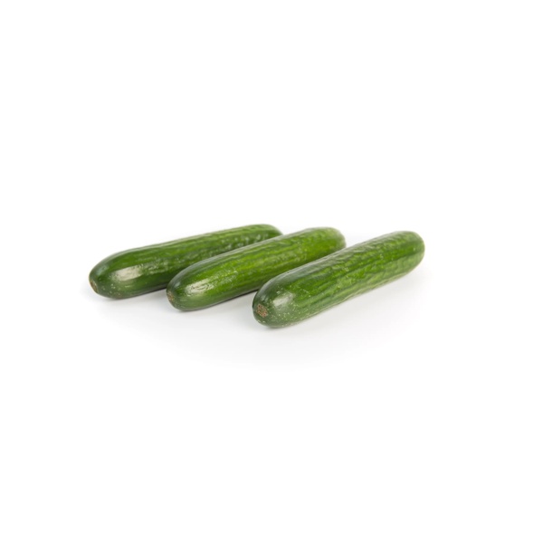 REEHAN RZ F1 (22-520) product photo view-2 L