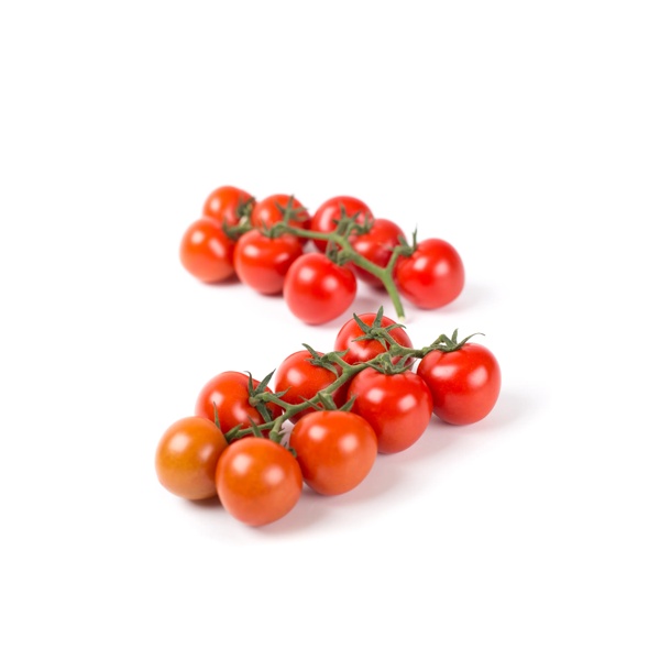 GLORIOSO RZ F1 (74-112) product photo view-2 L