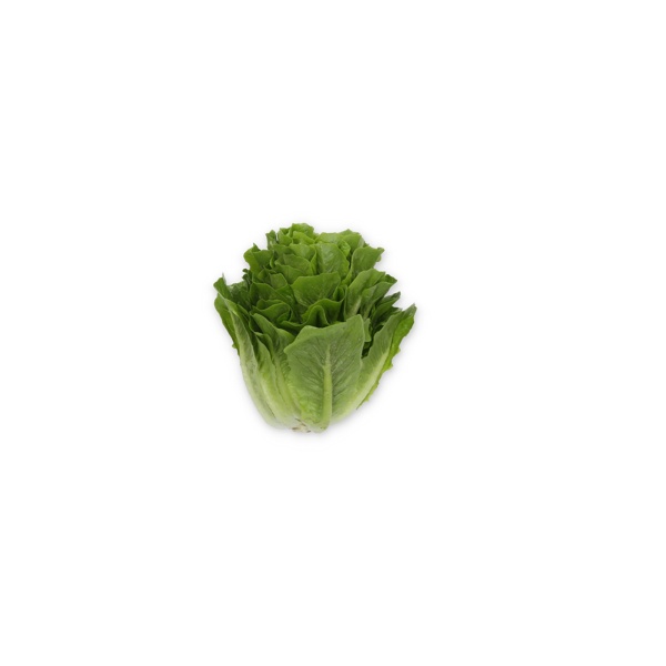 KOBUKA RZ (79-ML7593) Knox™ product photo view-3 L