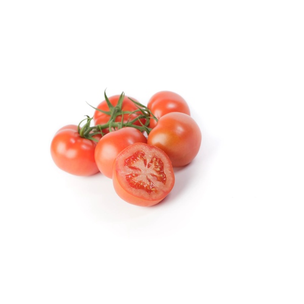 SIRANZO RZ F1 (72-754) product photo view-3 L