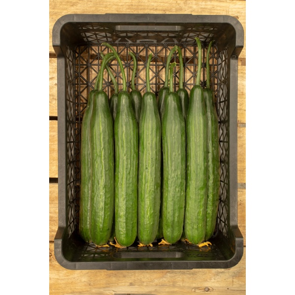 VERDON RZ F1 product photo view-3 L
