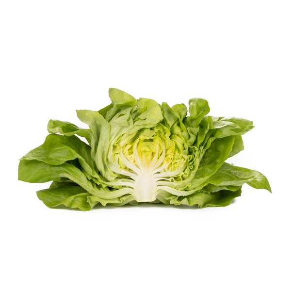GAMBETTA RZ product photo view-3 L
