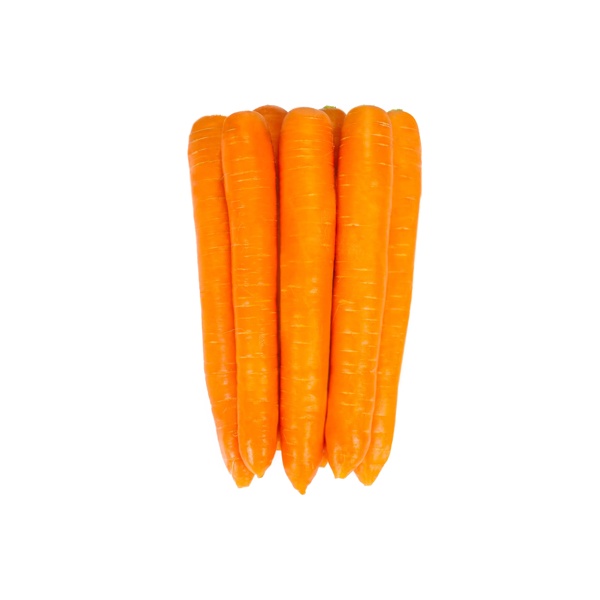 CROFTON RZ F1  product photo view-5 L