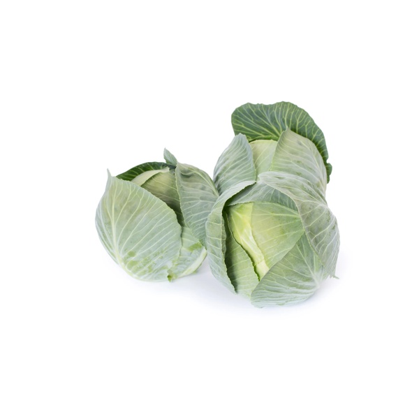 FLEXIMA RZ F1 product photo view-3 L